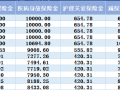 和谐福嘉一生终身护理保险利益演示.xlsx