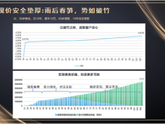 弘康鑫福一生养老年金保险产品介绍15页.pptx
