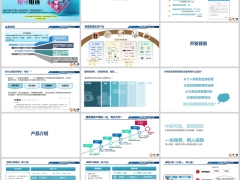 复星联合康乐爱相守开发背景产品介绍案例规则34页.pptx