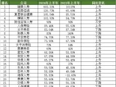 72家人身险公司2024年上半年短期健康险赔付率.xlsx 