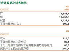 中国平安2023年度报告334页.pdf