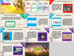 每日新闻资讯24年8月24日早会使用11页.pptx