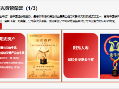 阳光人寿早会早练之资管荣誉投资项目19页.pptx