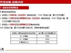 百年传世鑫禧终身寿险保障内容投保规则案例解析17页.pptx