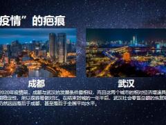 疤痕效应下的底线思维浅谈后疫情时代的家庭资产配置18页.pptx