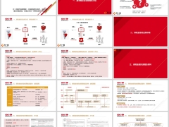 国投泰康基本概念业务模式介绍保险金信托业务标准流程材料18页.pptx 