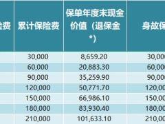 招商信诺人寿信享岁悦养老年金保险分红型产品计划书.xlsx