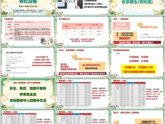 利安人寿安享颐生青松版产品亮点案例演示22页.pptx 