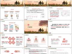 君康一生一世芳华1号养老年金产品形态规则案例26页.pptx 