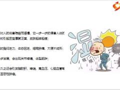 每日健康两个穴位一按湿气全跑光肥胖水肿脚气无影踪9页.pptx