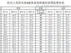 阳光人寿阳光孝B重度恶性肿瘤疾病保险条款费率现金价值产品说明规则.zip