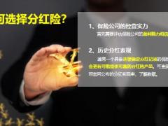 中意一生中意终身寿险分红型开发背景投资介绍46页.pptx