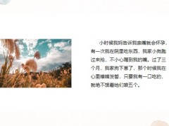 每日快乐早会24年1月22日使用12页.pptx