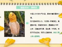每日健康竹荪钾是香蕉42倍纤维是韭菜19倍清肠止咳强免疫16页.pptx