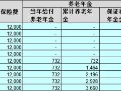 工银安盛人寿个养版盛世颐年养老年金保险个帐版计划书.xlsx