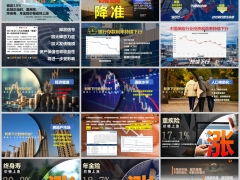 2024锁定3.0保险费率或将上涨16页.pptx