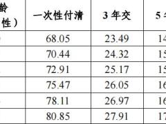中意臻享一生庆典版终身寿险条款费率现金价值投保规则保全规则.zip
