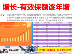 人保寿险荣耀世家终身寿险分红型产品亮点详解示例65页.pptx