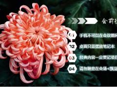 秋天菊花早会流程模板10页.pptx