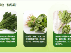每日健康菠菜叶酸是苹果好多倍补钙清肠道全家老少都精神15页.pptx