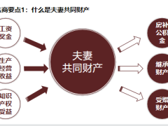 财富隔离与保险妙用婚变中财产转移与寿险运用复杂家庭财富保护41页.pptx