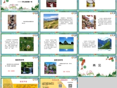 每日快乐早会24年7月5日使用12页.pptx 