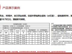 华贵禧两全保险分红型产品特色形态演示案例核保规则16页.pptx