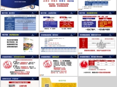 新华人寿多倍领航赢家版客户基本责任四大需求14页.pptx 