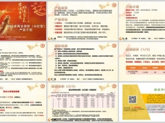 新华人寿宏运来两全保险分红型产品定位特色介绍保险责任案例演示9页.pptx 