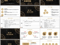 法商案例解析客户KYC技巧明星成交案例26页.pptx 