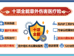 国寿安心呵护意外伤害医疗保险背景产品亮点形态投保示例30页.pptx