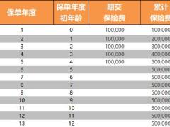 中华人寿中华盈经典版终身寿险计划书.xlsm