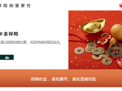 国联人寿福寿年年公司介绍开发背景产品介绍案例分析29页.pptx
