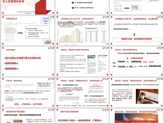 2024个人所得税扩容背景带来的影响风控建议42页.pptx