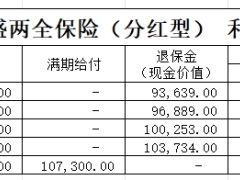 大家鸿盛两全保险分红型利益演示自动计划书.xlsx 