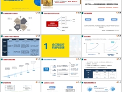 人身险分类分红险运行机制原理销售面临挑战26页.pptx 