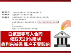 利安安鑫盈尊享版鑫利来金珑版账户标准终极意义16页.pptx