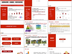 信泰如意尊创鑫版B款背景特色保险责任案例演示31页.pptx 