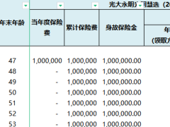 光大永明人寿光明慧选2024版养老年金保险利益演示.xlsx