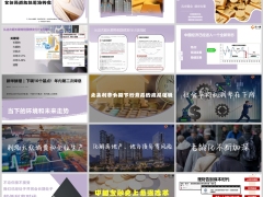 2024理财保险全新局面放钱思路转变19页.pptx 