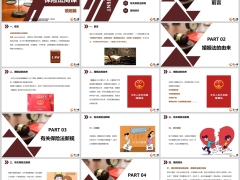 保险法商专题婚姻法的由来保险法新规案例演示23页.pptx