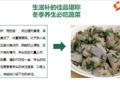 每日健康天越冷越要吃芋头排出隔天便保护牙齿口臭没了体重嗖嗖降10页.pptx