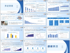 2024中国养老现状背景养老金体系三支柱解析12页.pptx 