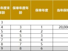 大家养老大富之家兴盛版养老年金保险产品计划书.xlsm