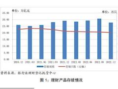 2022年中国银行业理财市场年度报告66页.pdf