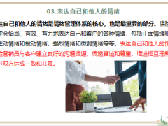 保险营销员如何建立自己的情绪管理体系24页.pptx