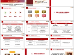 银保渠道保险金信托客户画像概述分类案例演示含备注49页.pptx 