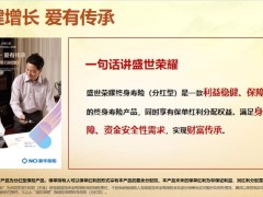 新华盛世荣耀终身寿险分红型保险责任产品特色案例演示23页.pptx