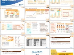 太平洋健康锦鲤2号终身重疾险特色投保案例14页.pptx 