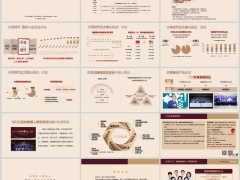 2024年泰康人寿长寿时代三大核心挑战六大私享详解56页.pptx 
